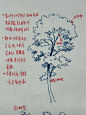 初学者画树时最容易出现的问题和解决方法 - 小红书