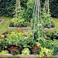 Intensive Gardening: Grow More Food in Less Space from MOTHER EARTH NEWS