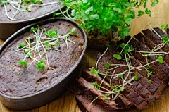 光滑的鸭肉和橘色的肉酱，鸭肝pâté与橘色片和少许香草和香料混合