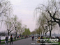 旅游,在路上——上海杭州西塘旅游（三）  杭州西湖, 桔子的夏天旅游攻略
