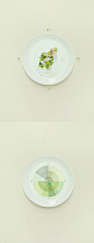 法国艺术家Emilie Guelpa如今因美食杂志《Fricote》以及一系列创意食物摄影而广受关注，今年的这组“Monochrome”系列就以四位厨师的料理作为线索，以色谱展示，更集中展现了厨师们各自的料理美学