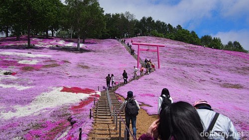 東藻琴芝櫻公園