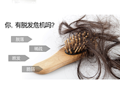 zy忍冬采集到创意