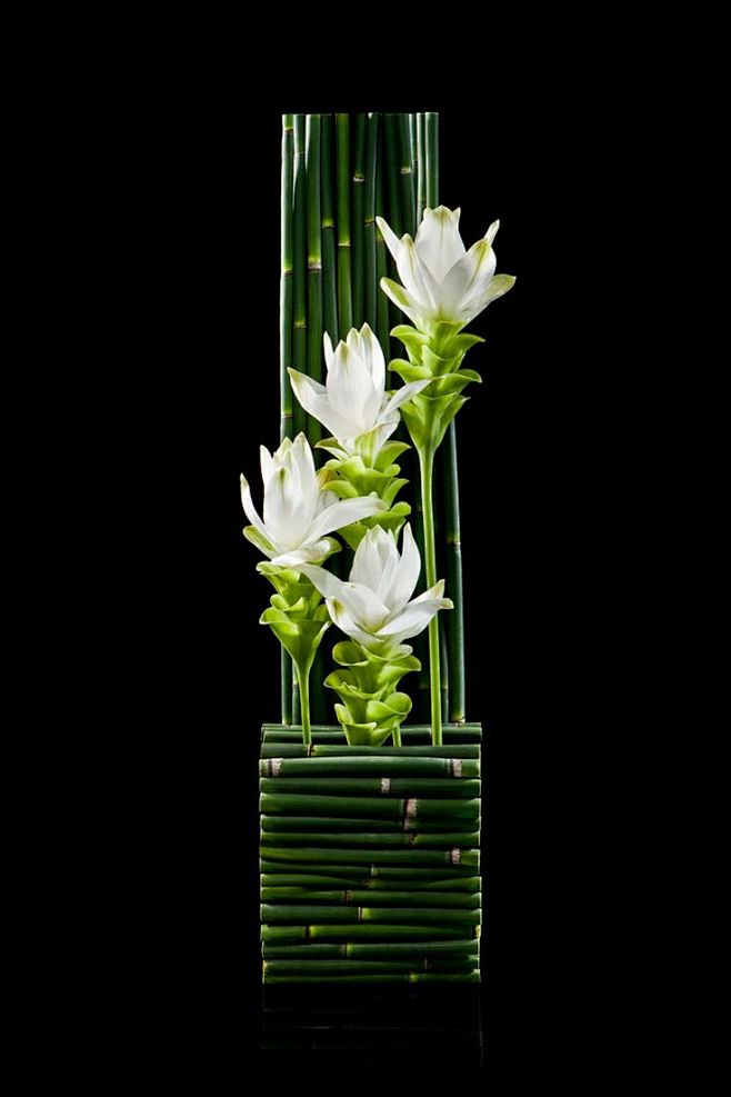 《花艺》