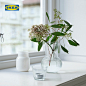 IKEA宜家PADRAG普德拉格花瓶透明玻璃水培花瓶