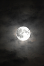 (9) Tumblr