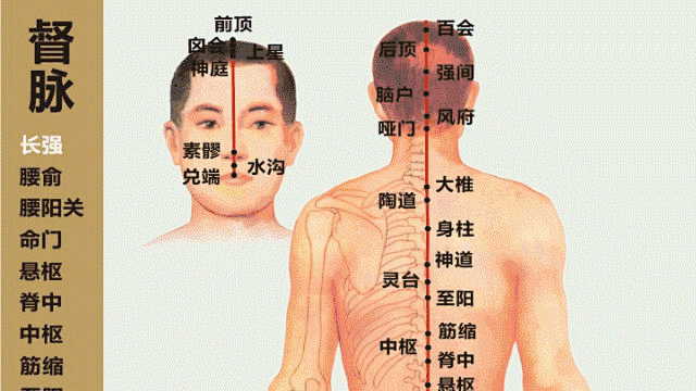 1 任脉位于正前胸，心脏脾胃行不通；上连乳腺下子宫，万一不通变老翁。 2 督脉立于脊椎中，监督气血来运行；五脏六腑督脉宫，对应区域弯曲痛。 3 ...