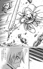 大剑CLAYMORE 第26卷
