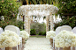 白色兰花,艺术美感的花艺视觉效果让婚礼现场浪漫