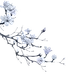 〔 古风素材 〕作者' 森森