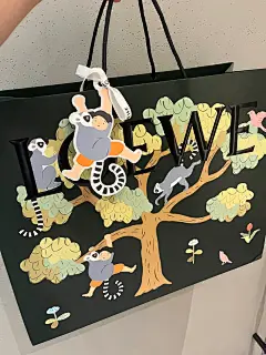 LOEWE 联名款购物袋｜这么可爱谁舍得用啊 - 小红书