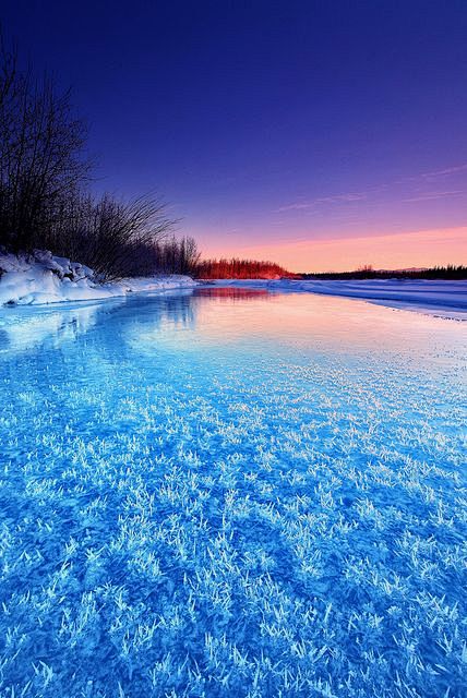 冬季忧郁，阿拉斯加
Winter Blu...