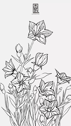 tammy采集到素描-植物1钢笔花卉白描达人叶志军先生的钢笔画分享www