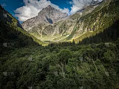 鸟瞰图夏季绿树在森林与一个壮丽的山河