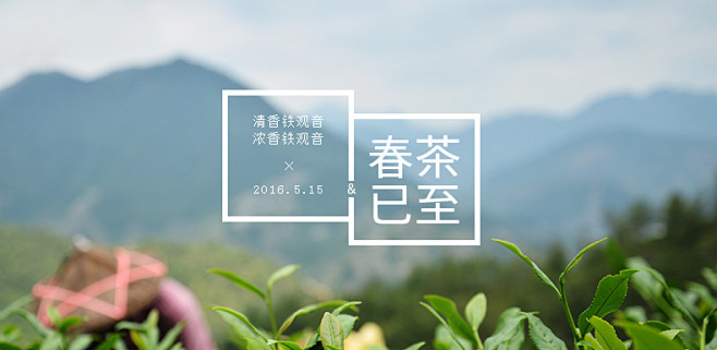 研传铁观音 问策清香型茶叶铁盒 兰花香安...