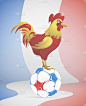 法国足球象征着红色的公鸡