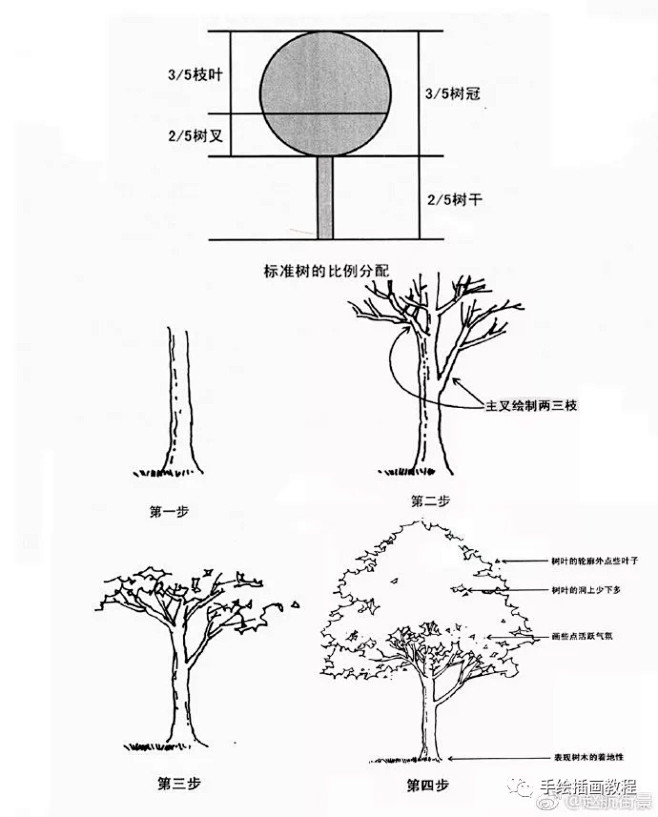 【手绘教程】教你画各种树，看完你就会画树...