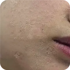 百度识图搜索结果