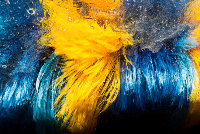 李消愁通过花瓣chrome扩展采集于2019-12-27 10:39