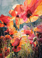 kalina toneva] watercolor poppies, exquisite