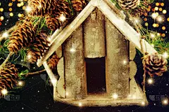 小鸟笼,小的,贺卡,新的,边框,水平画幅,夜晚,雪,圣诞树