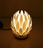 Beautiful 3D printed lamp from www.mgxbymaterialise.com: 