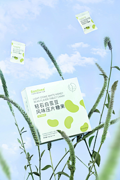 昌古斯沧海采集到宠物