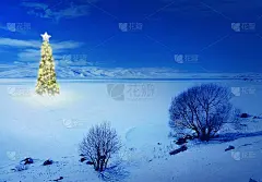 装饰室外圣诞树上白雪覆盖的景观