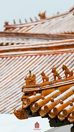 遇见#紫禁城的瑞雪#，遇见一个清朗的新年！ ​​​​