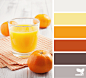 Design Seeds® | find your palette