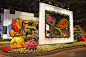 【费城花展】 1839年的费城花展是美国第一个大型室内花展。到今天，它已经成为了世界上最大的室内花展，每年平均容纳27万人次参观。每年都在三月份开春举行，厉时一周左右