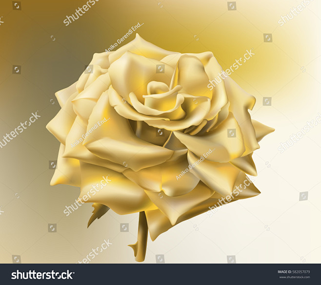 Gold Rose.
Hand draw...