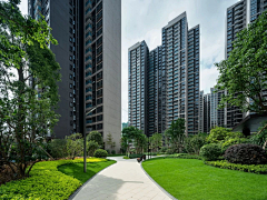 qin美工采集到公园