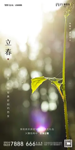 地产二十四节气立春海报