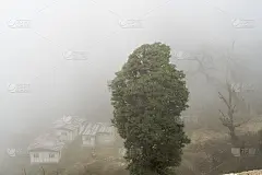 在一个雾蒙蒙的日子里，Dochula旁边的道路经过了108支chortens，这是不丹廷布市纪念不丹