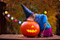 halloween-stock