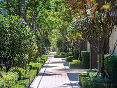 猫宅宅采集到巷道景观