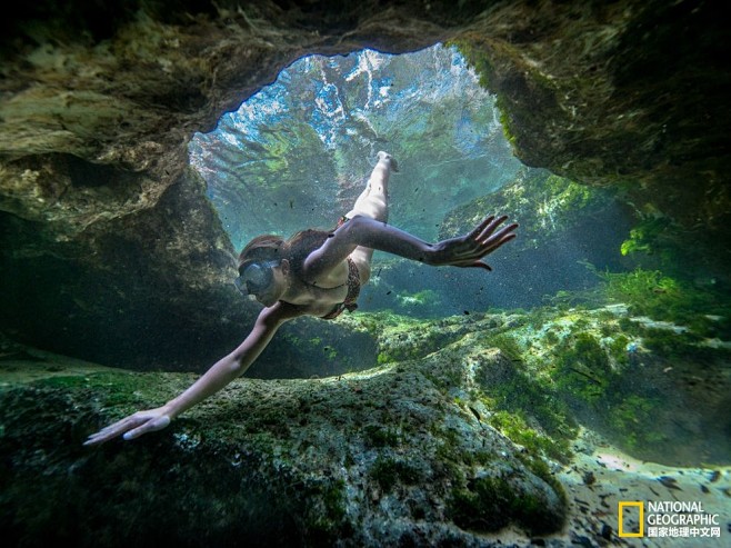 水下世界：佛罗里达州的另一面