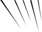 线条2