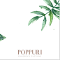 POPPURI CHILDREN'S CLOTHING (@poppurikids)的Instagram主页 | Tofo.me: Instagram网页版
