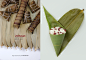 Dragon Boat Festival#端午节 Chinese rice-pudding#粽子