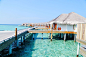 Arrival At The Dusit Thani In The Maldives! (38)