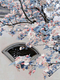 海棠花未眠