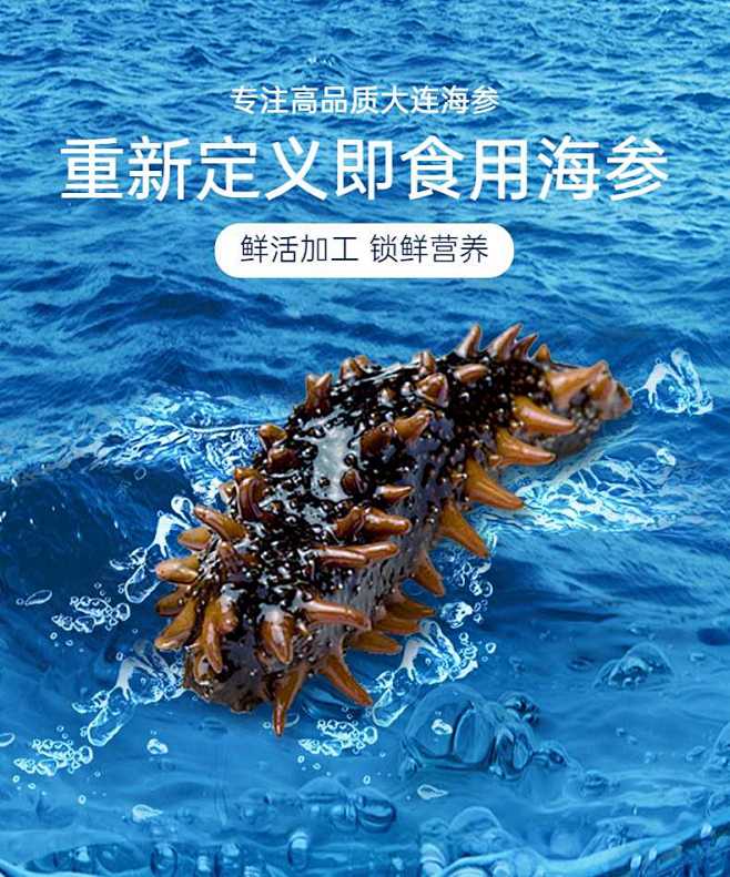 食品海鲜海参详情页