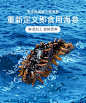 食品海鲜海参详情页