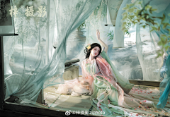 菜鸡炖蘑菇采集到景