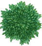 tree-16
