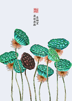 伊人浅笑醉云州采集到古风版莳花绘