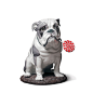 Lladro Bulldog Lollipop Porcelain Figurine | Wunderpets & Co.
