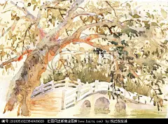 西湖公园